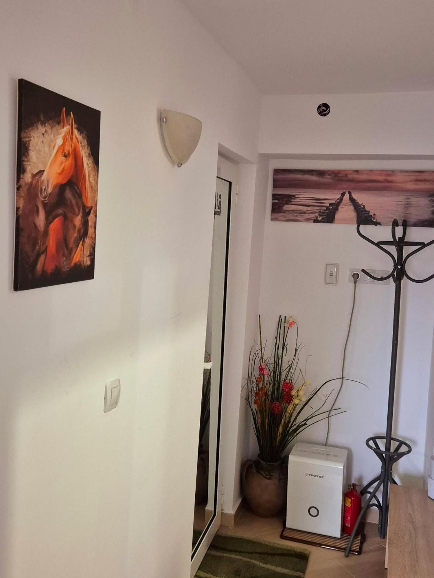 Apartment Shesti Uchastak Gabrovo Extérieur photo