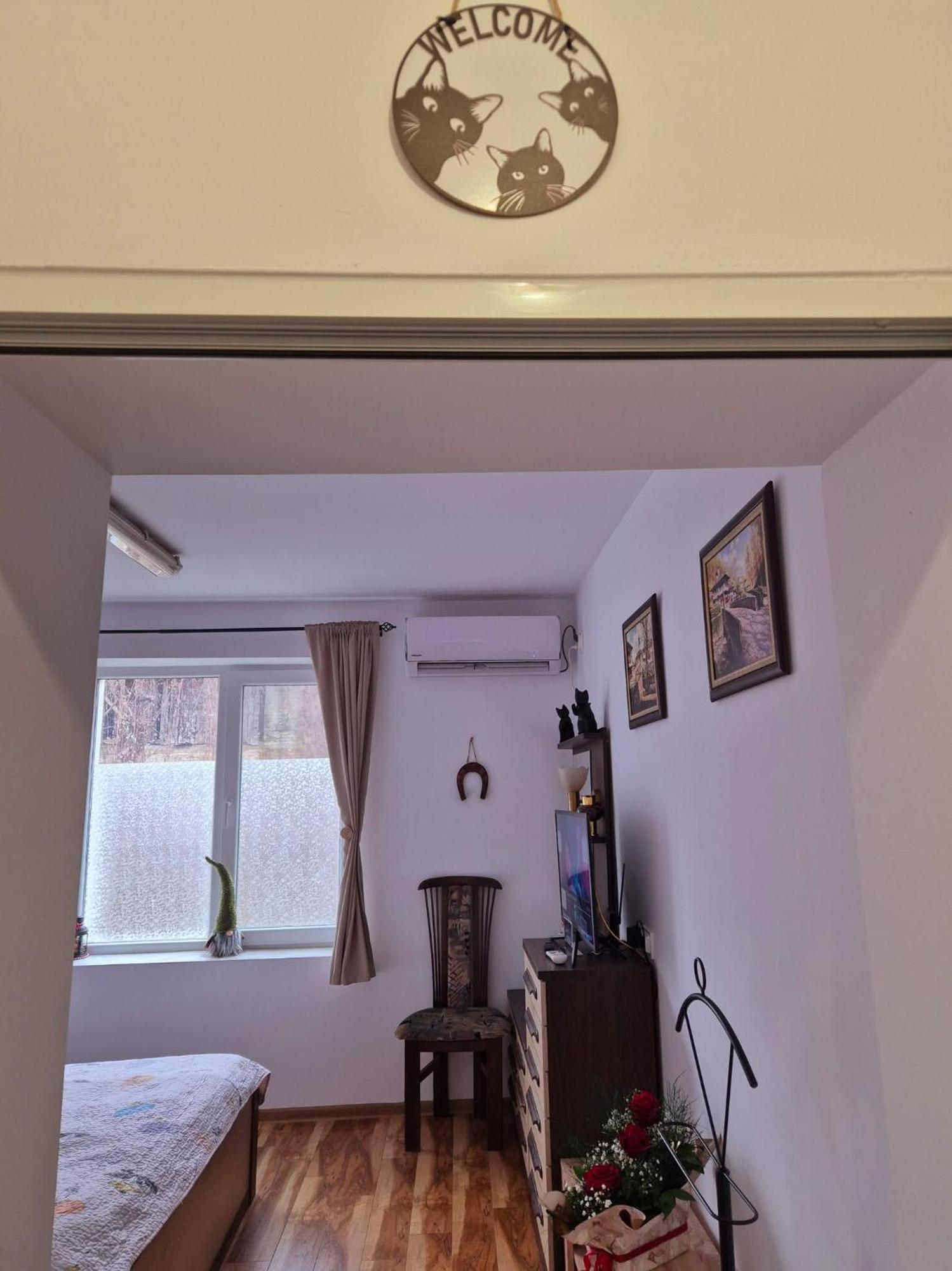 Apartment Shesti Uchastak Gabrovo Extérieur photo